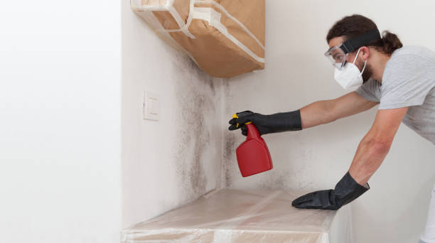 Professional Mold Remediation technician working in Mineola, NY